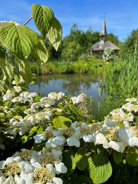 Molesworth House